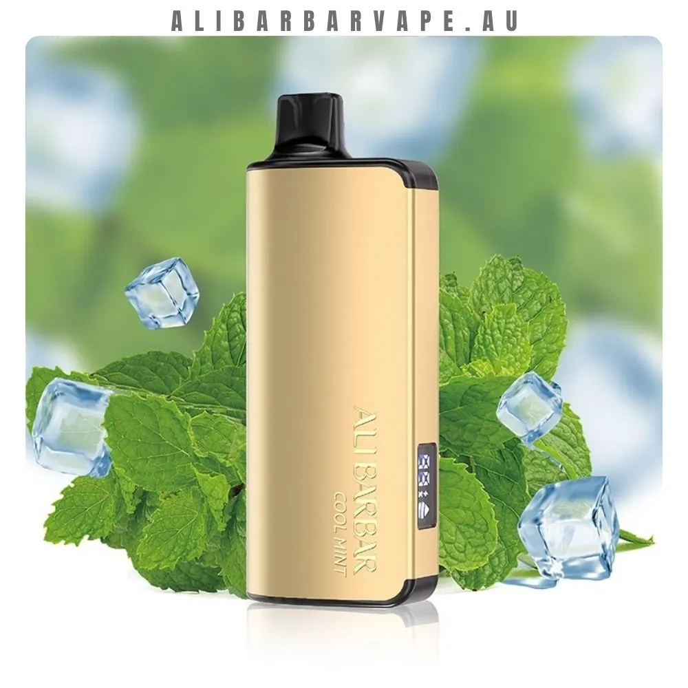 ALIBARBAR-INGOT-9000-Puffs-Cool (1) ALIBARBAR INGOT 9000 Puffs Miami Mint - Image 1