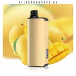 ALIBARBAR INGOT 9000 Puffs Mango Magic